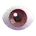 imgLeading